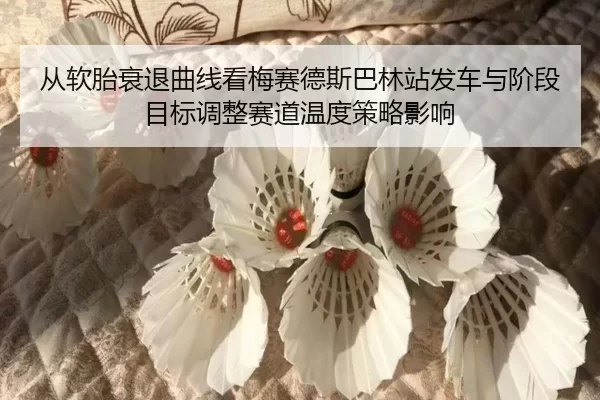 从软胎衰退曲线看梅赛德斯巴林站发车与阶段目标调整赛道温度策略影响