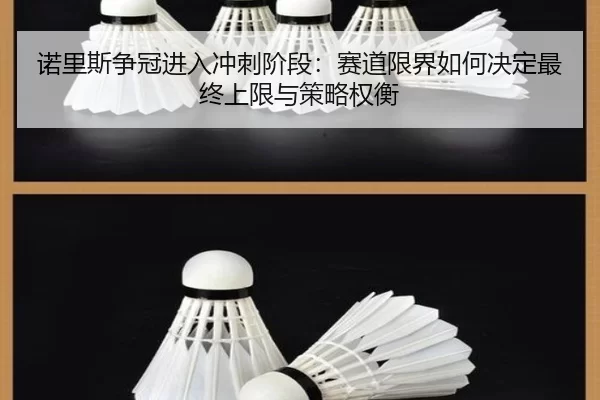 nuo-li-si-zheng-guan-jin-ru-chong-ci-jie-duan-sai-dao-xian-jie-ru-he-jue-ding-zui-zhong-shang-xian-yu-ce-lve-quan-heng-2-861.jpg
